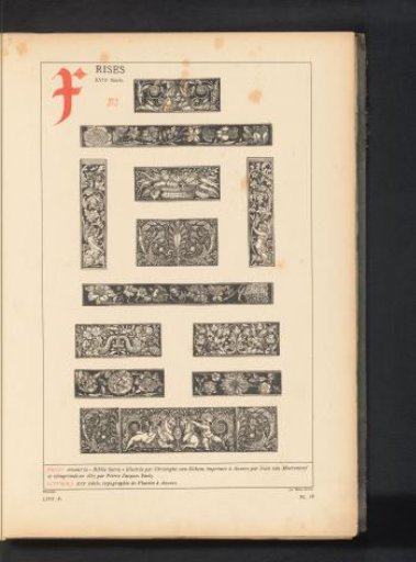 Reproduction of twelve prints of grotesque ornaments with leafy vines, flowers, and putti from the Biblia Sacra, by Christoffel van Sichem