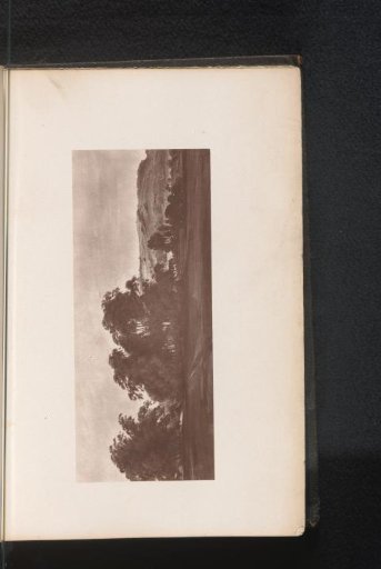 Photographic reproduction of a painting, depicting a view of willows in Stoke