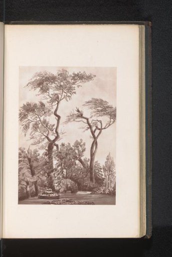 Photographic reproduction of a painting, depicting white poplars