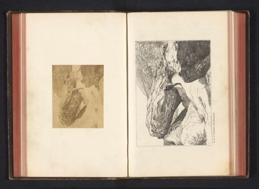 Mountain climber before a rock