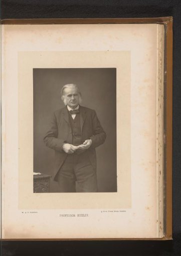 Portrait of Thomas Henry Huxley
