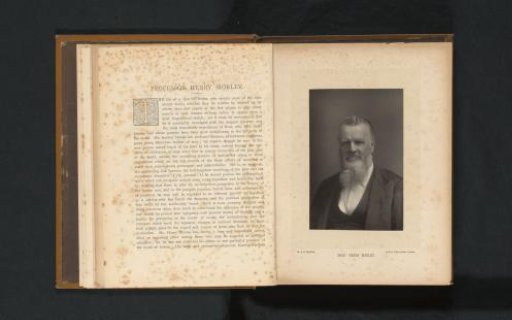 Portrait of Henry Morley