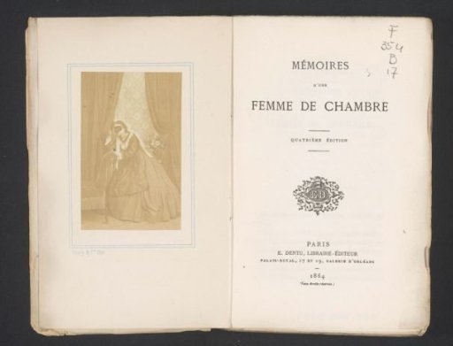 Portrait of a Masked Woman in an Interior