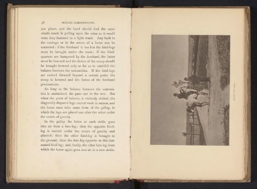 Man riding a horse and presumably playing ring-stick