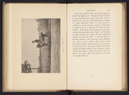Man riding a shy horse