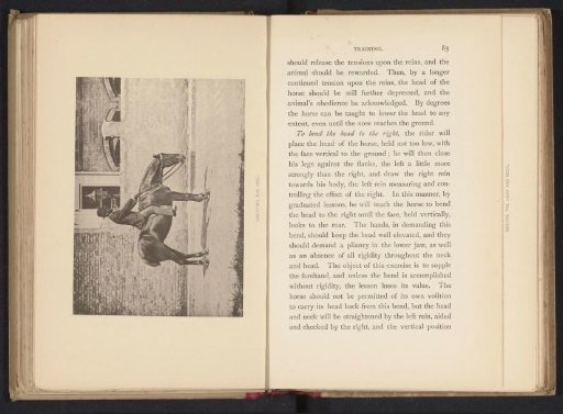 Man on a horse lowering the horse's head with the reins