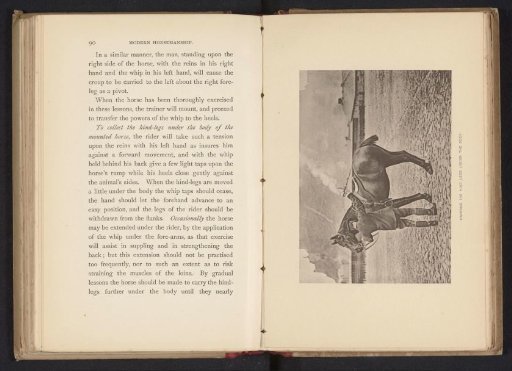 Man beside a horse
