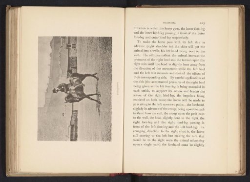 Man on a horse in dressage