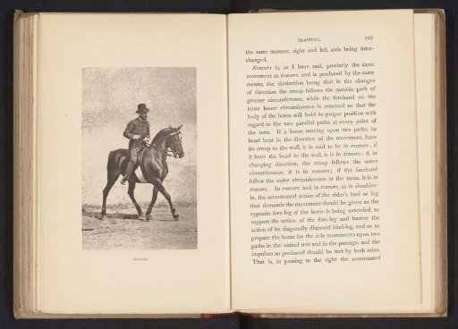Man on a horse performing the renvers