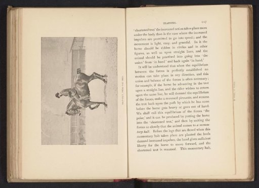 Man on a horse with a foreleg raised