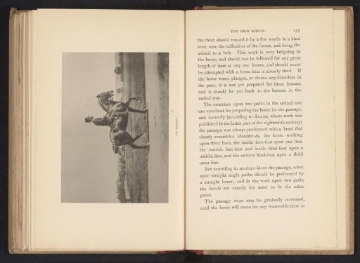 Man on a horse in passage