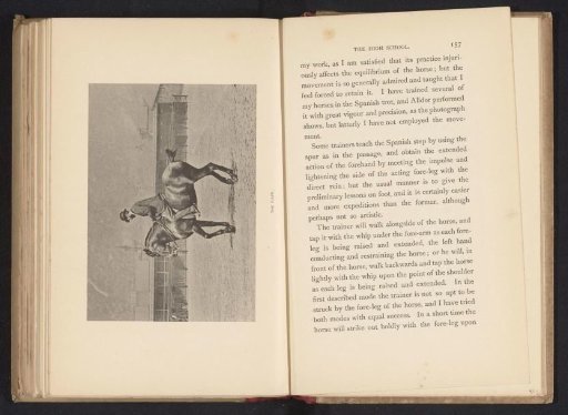 Man on a horse in piaffe
