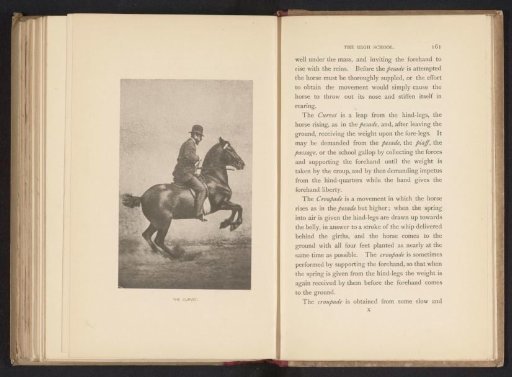 Man on a horse performing a curvet or bucking jump