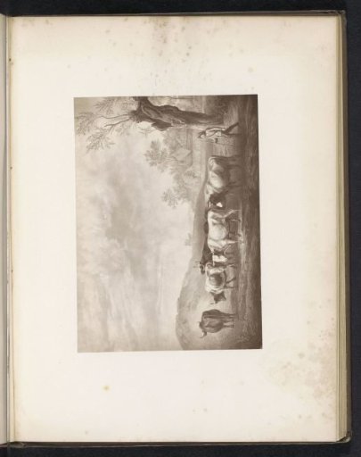 Photographic reproduction of an engraving after a painting, depicting a shepherd with a herd of cows