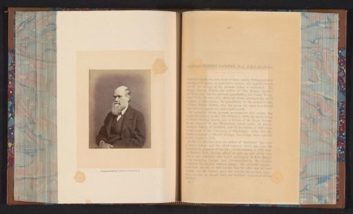 Portrait of Charles Darwin