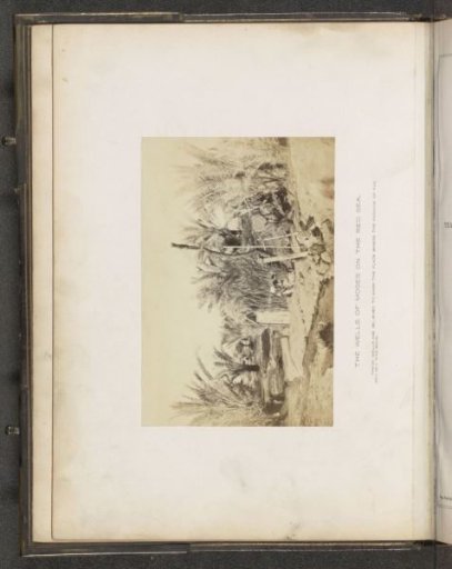 View of a spring in the desert by the Red Sea