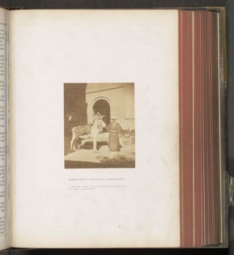 Man with a donkey