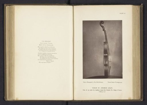 Side view of a violin made by Andreas Amati