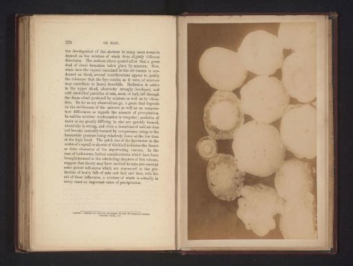 Hailstones
