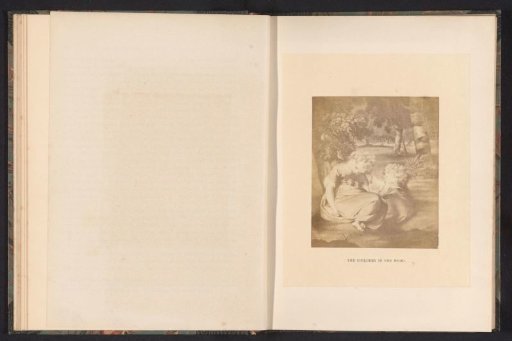 Photographic reproduction of a painting of two sleeping children in a forest by Joshua Reynolds