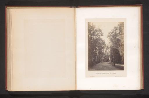 Walking path in the Bois de Vincennes