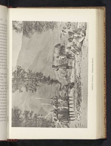 Threshing maize at Kullu, Himachal Pradesh, India