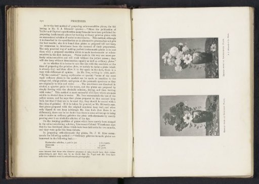 Two vases with flowers, photographed with and without an isochromatic plate
