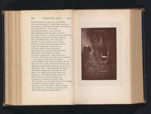 Photographic reproduction of a print depicting the Fall of Man