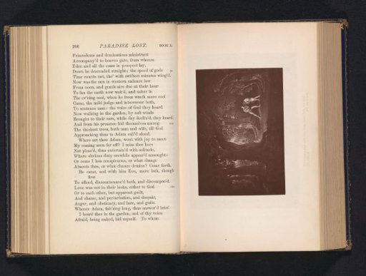Photographic reproduction of a print depicting Adam and Eve hiding from God