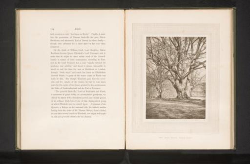 Two beech trees on the estate near Knole House