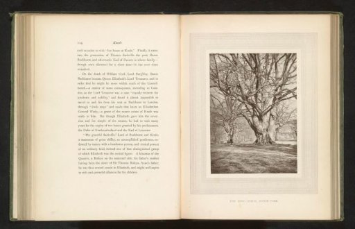 Two Beech Trees on the Estate at Knole House