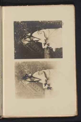 Unknown woman with a branch in her hand