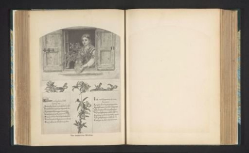 The jessamine window