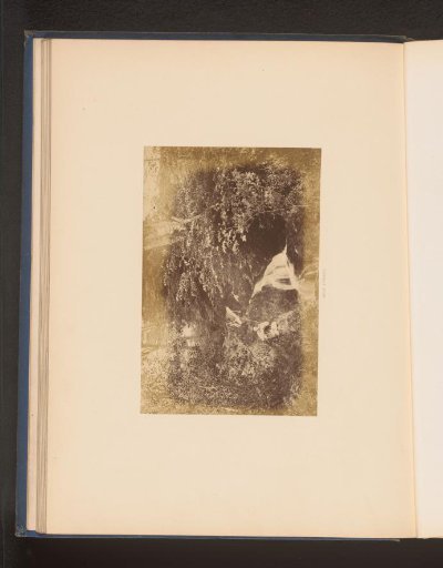 Man fishing by a waterfall in the Lake District
