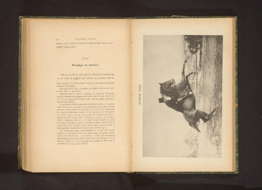 Man on a horse in gallop with the forelegs off the ground