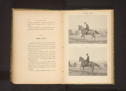 Two men on horses in piaffe