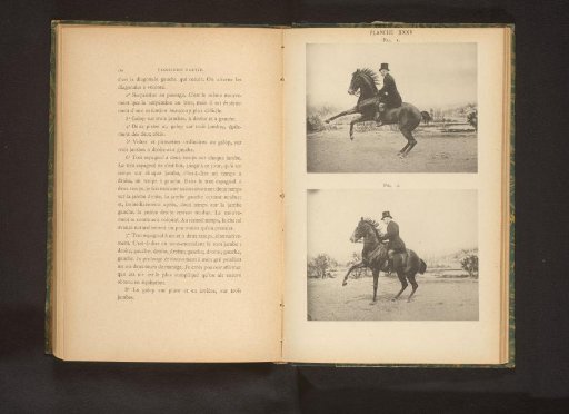 Two men on horses in motion