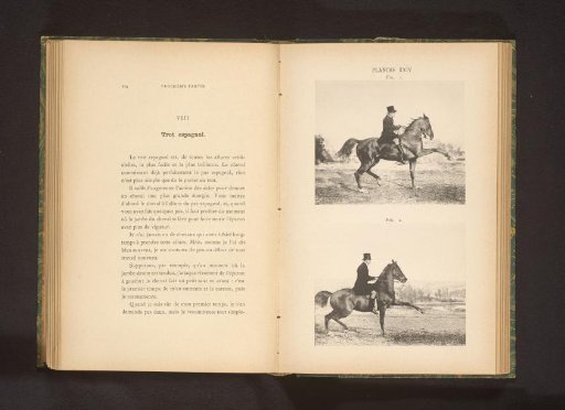 Two Men on Horses in Spanish Trot