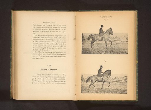 Two Men on Horses in Piaffe