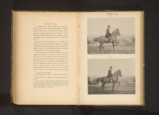 Two men on horses in piaffe