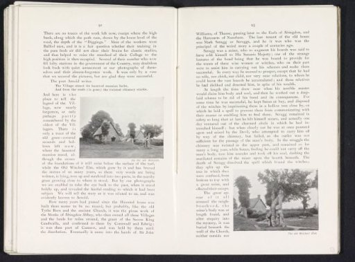 The old witches' elm