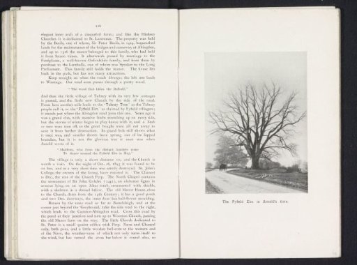 The Fyfield Elm in Arnold's time