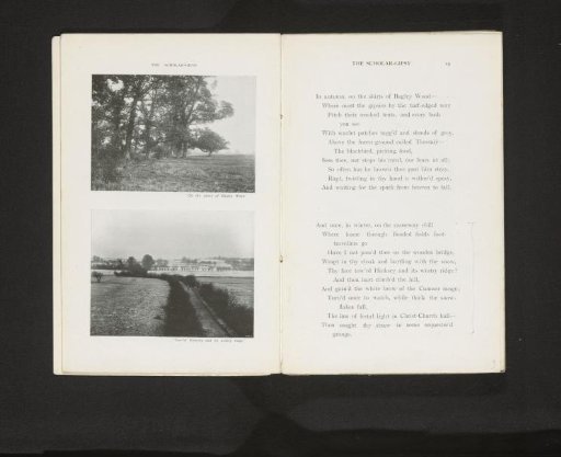 Outlying parts of Bagley Wood in Oxfordshire and a view of South Hinksey