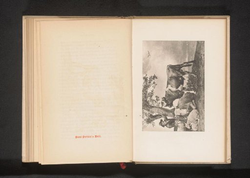Photographic reproduction of the painting The Bull