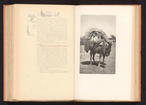 Portrait of an unknown man in a sedan chair on a camel or dromedary in the desert in Israel