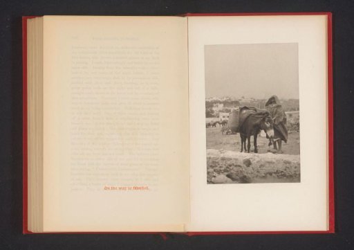 Man with a donkey
