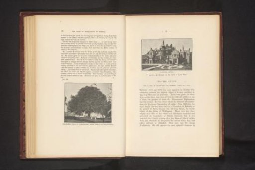 The Duke's tree at Ahmadnagar under which he breakfasted