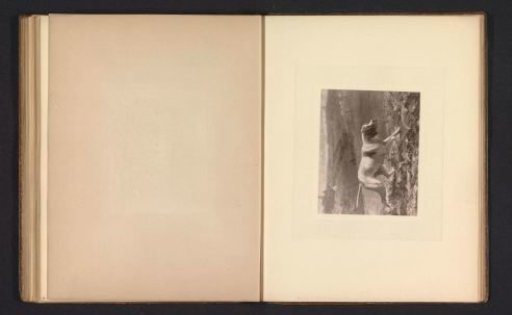 Photographic reproduction of a painting of a hunting dog by George Earl