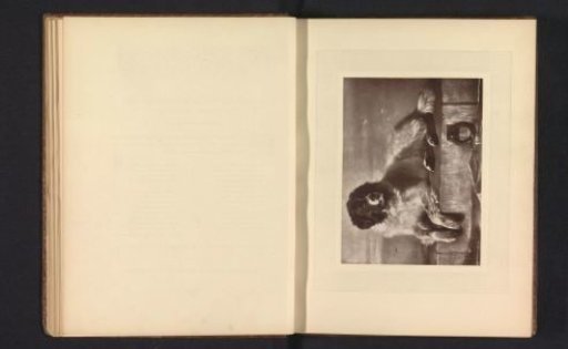 Photographic reproduction of a print after the painting A Distinguished Member of the Humane Society by Edwin Henry Landseer