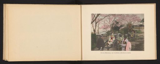 Four Japanese girls in kimonos in rickshaws before cherry blossoms
